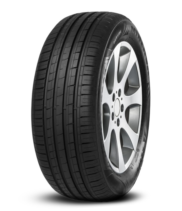 205/65 R16 99H MINERVA F209