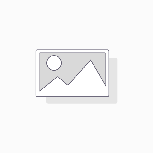 155/65 R13 73T All Season Elite Z-401 XL 3PMSF