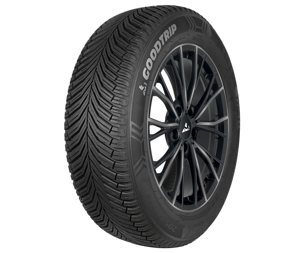 225/65R17 106V GOODTR BLUEGUA AS XL