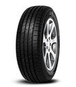 255/50 R19 107W Ecospeed 2 SUV XL